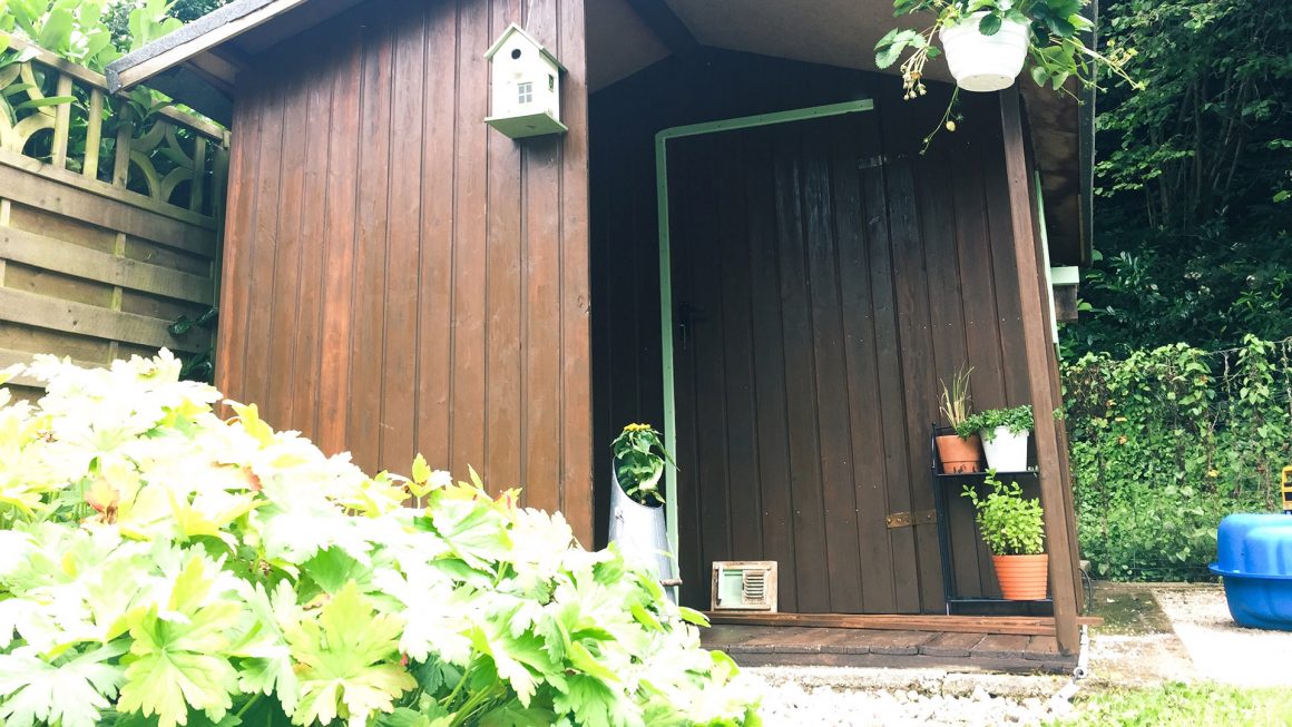 How To Disguise A Shed In The Garden • Garden Shire