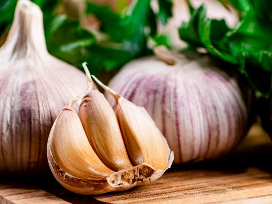 when to plant garlic in canberra
